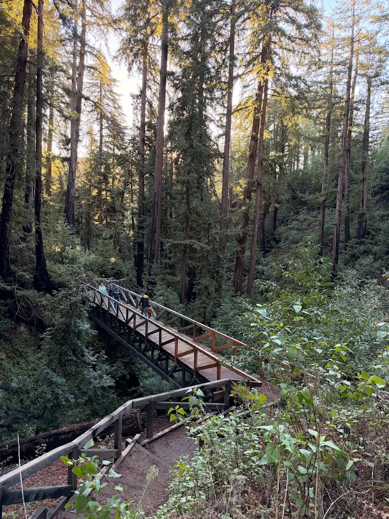 Die 3 Besten Wanderungen in Big Sur Kalifornien: Meine Top Trails in 2026