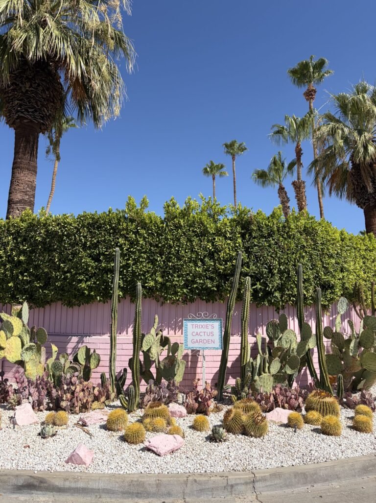 3 Tage in Palm Springs: Mein 72-Stunden-Reiseplan 2026